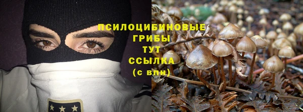Альфа ПВП Вяземский