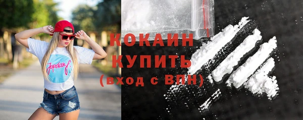 Альфа ПВП Вяземский